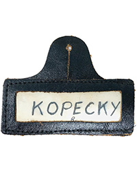NameTag